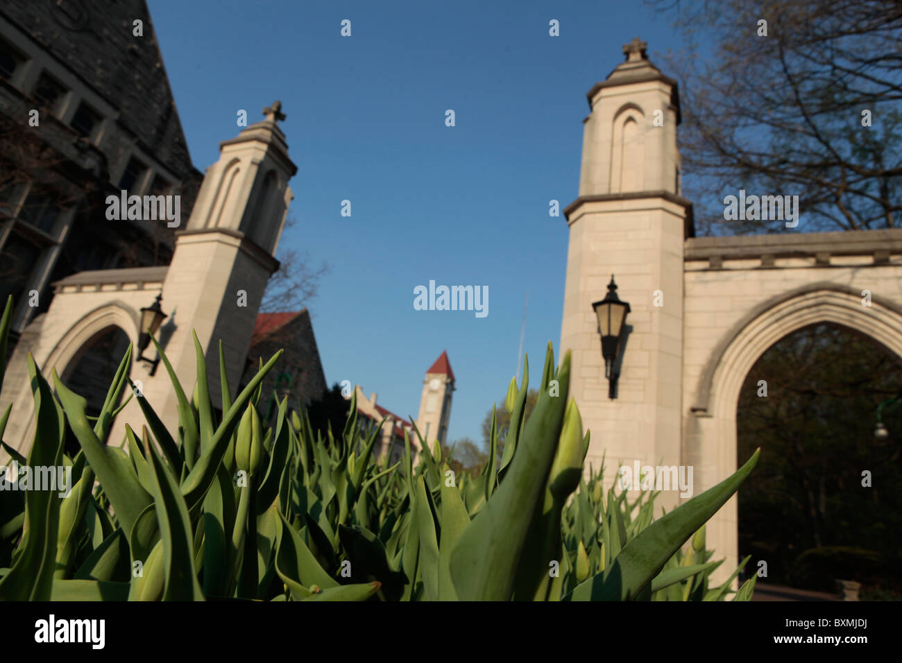 IU Campus Indiana University low angle samples gates flowering plants ...