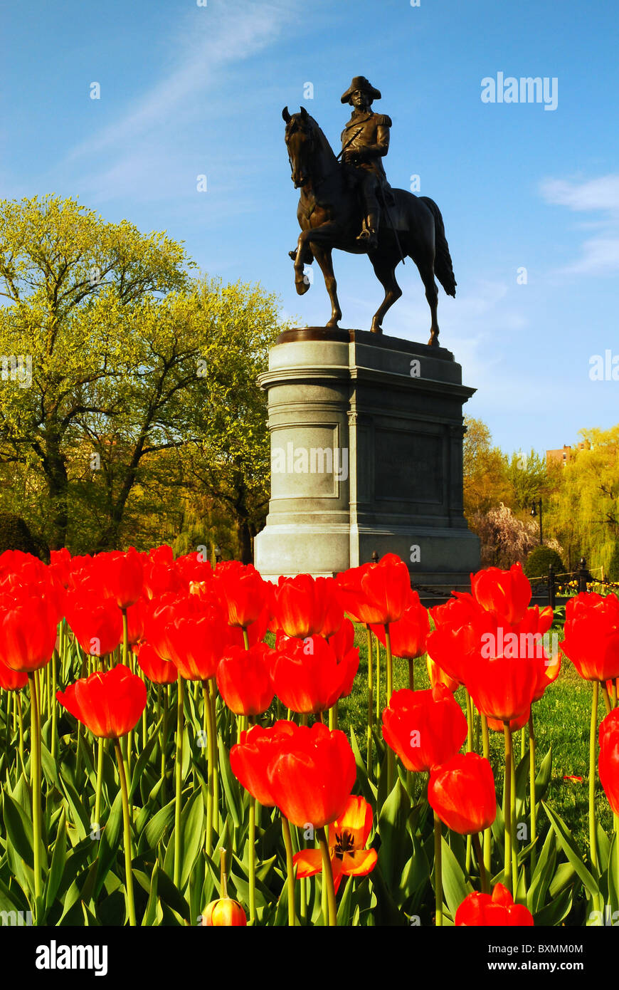 A Statue of George Washington highlights the Boston Public Garden in Spring Stock Photo