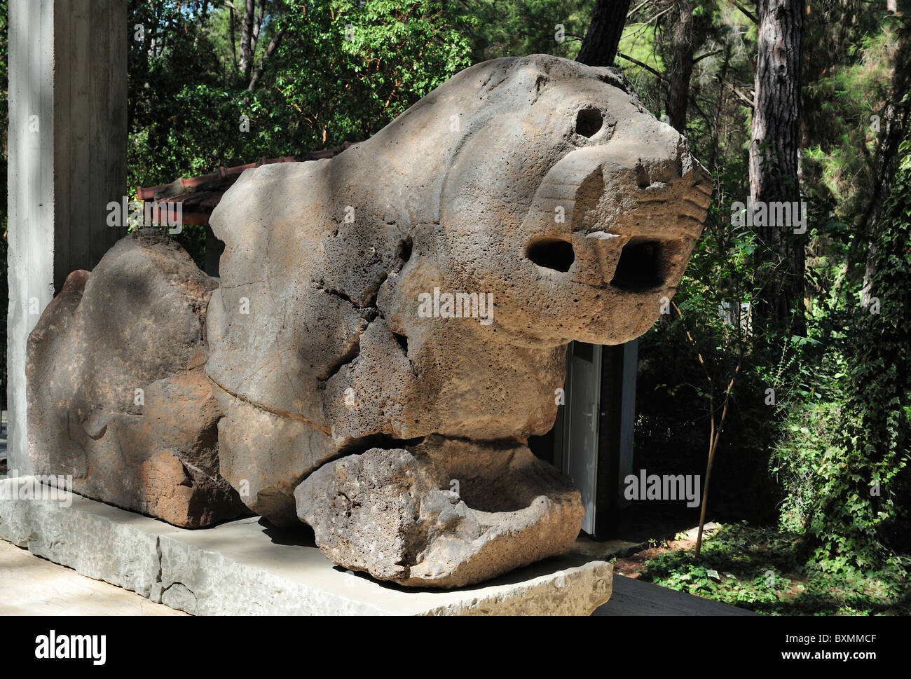 Neo-Hittite Lion, Karatepe, Turkey 100920 36558 Stock Photo