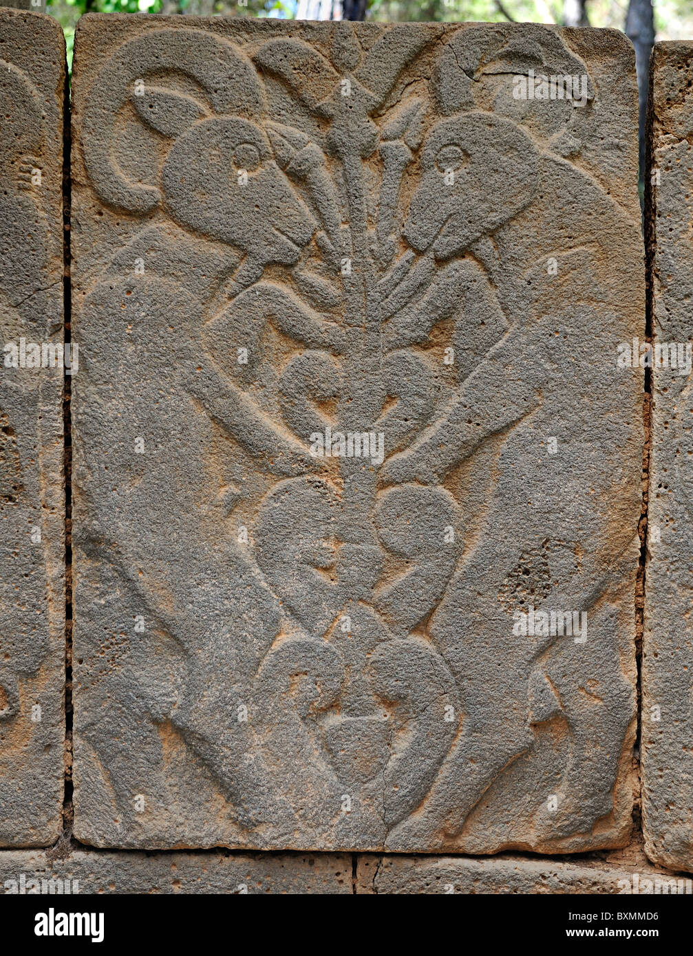 Orthostat of two rams in a tree, Karatepe, Turkey 100920 36583 Stock Photo