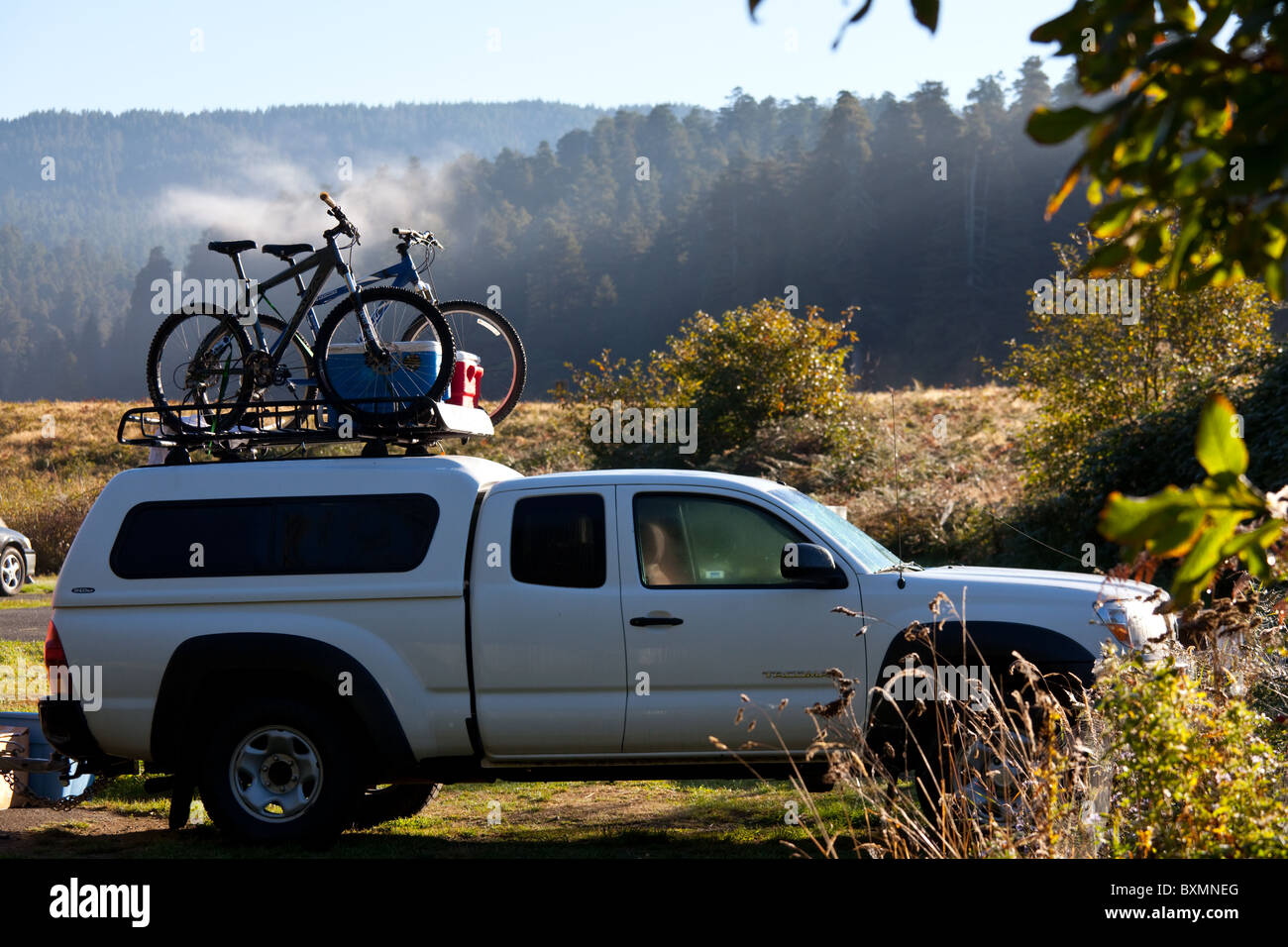 Car roof bike rack hi res stock photography and images Page 2 Alamy