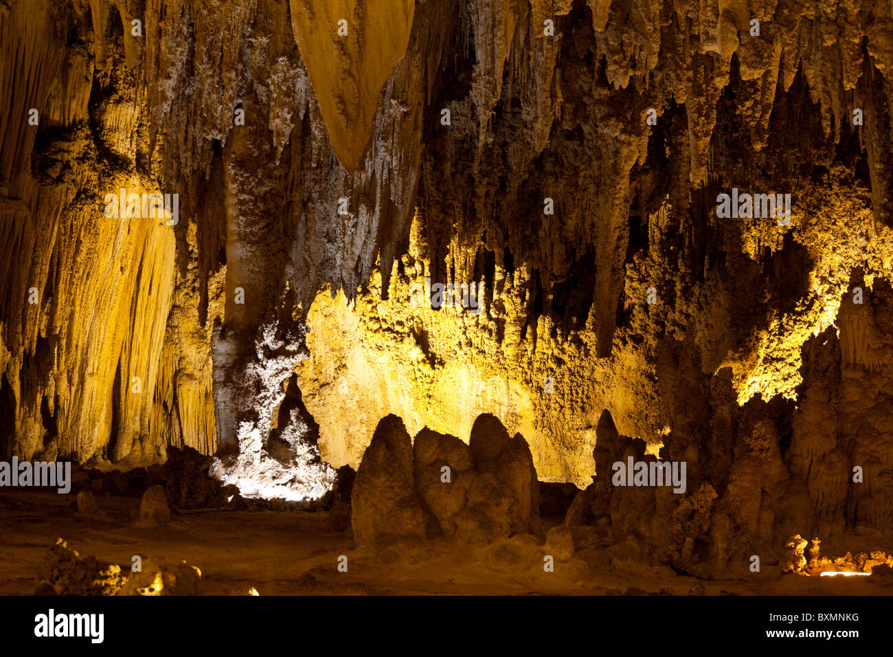 Carlsbad Cave, Carlsbad Caverns National Park, New Mexico, USA Stock