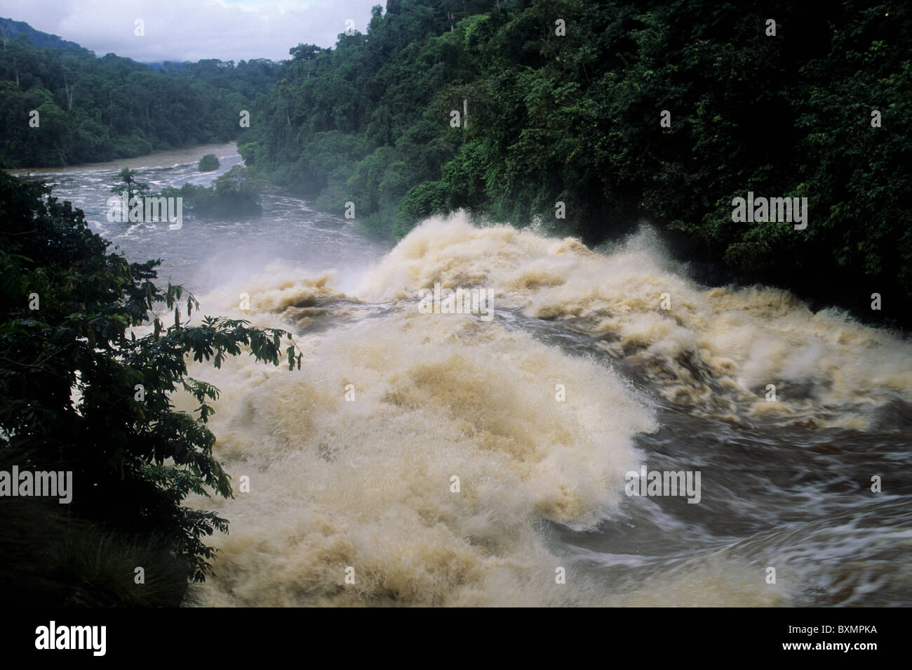 Mosumo Waterfall. ' MONTE ALEN  National Park '   Continental Region  EQUATORIAL GUINEA Stock Photo