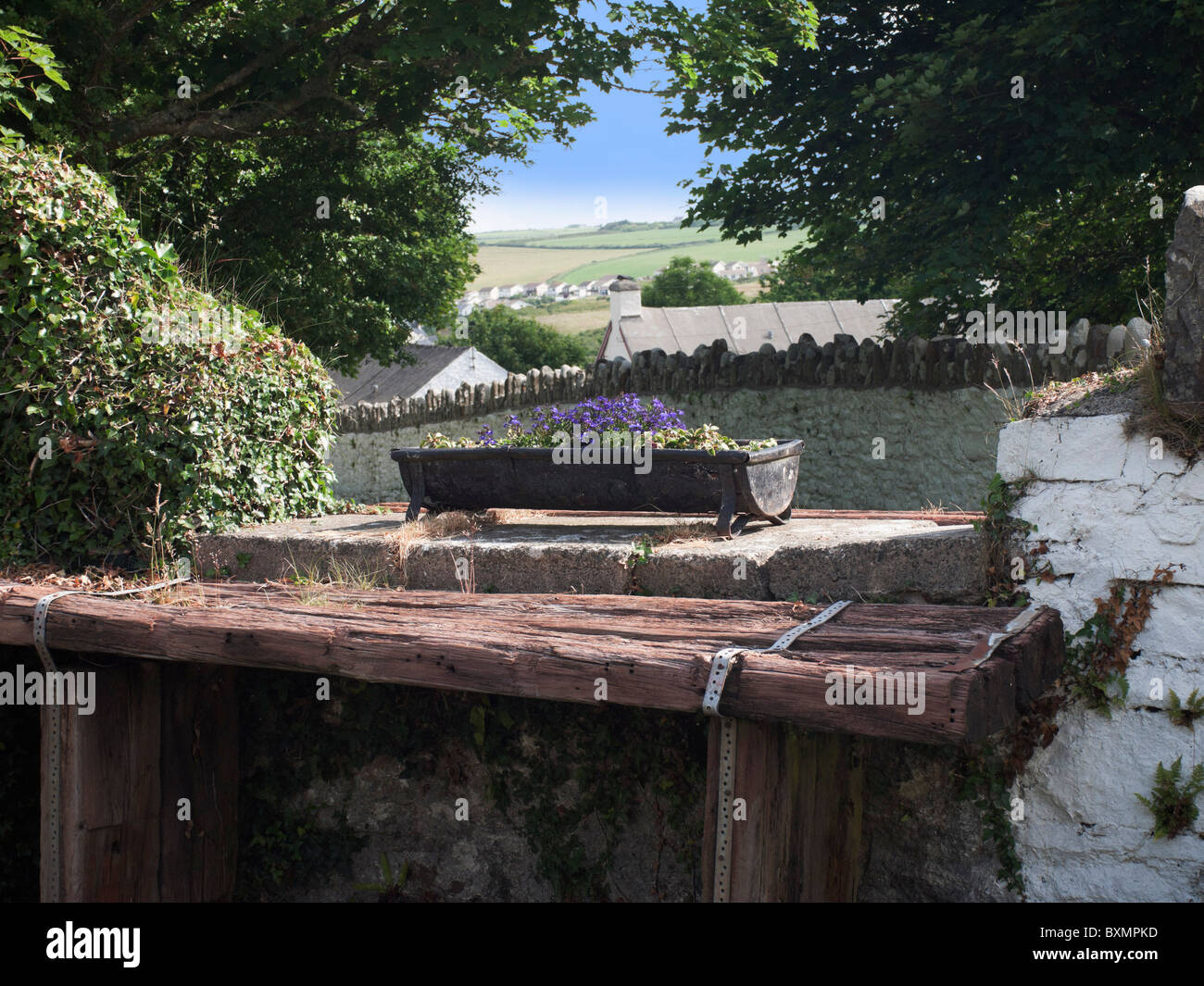 flowers in an old drinking trough outside a cottage in the pembrokeshire national park dyfed wales Stock Photo