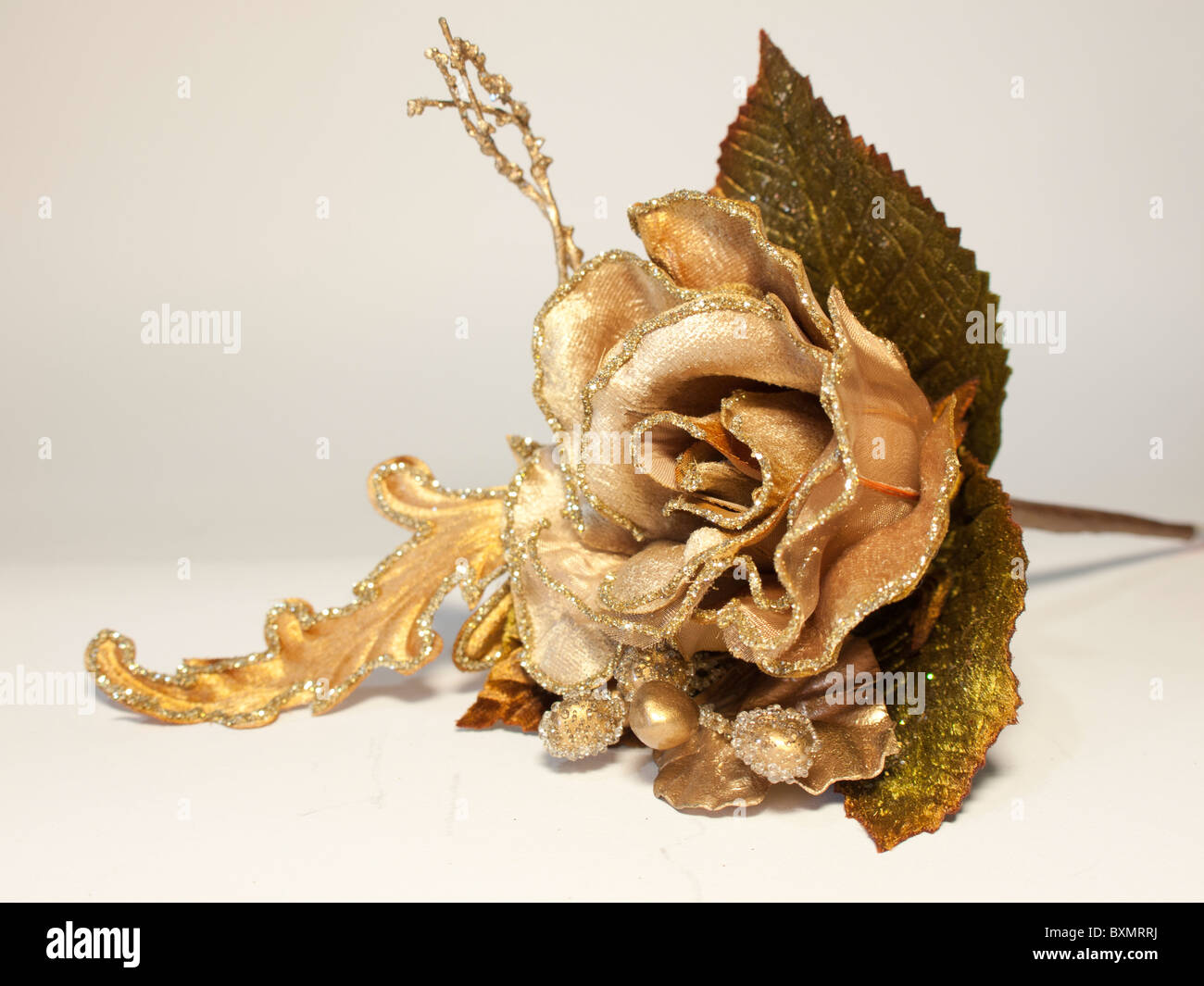 Gold rose hires stock photography and images Alamy