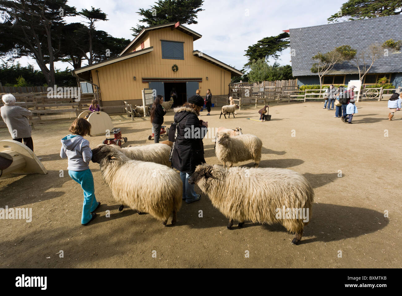 San Francisco Zoo Stock Photo Alamy