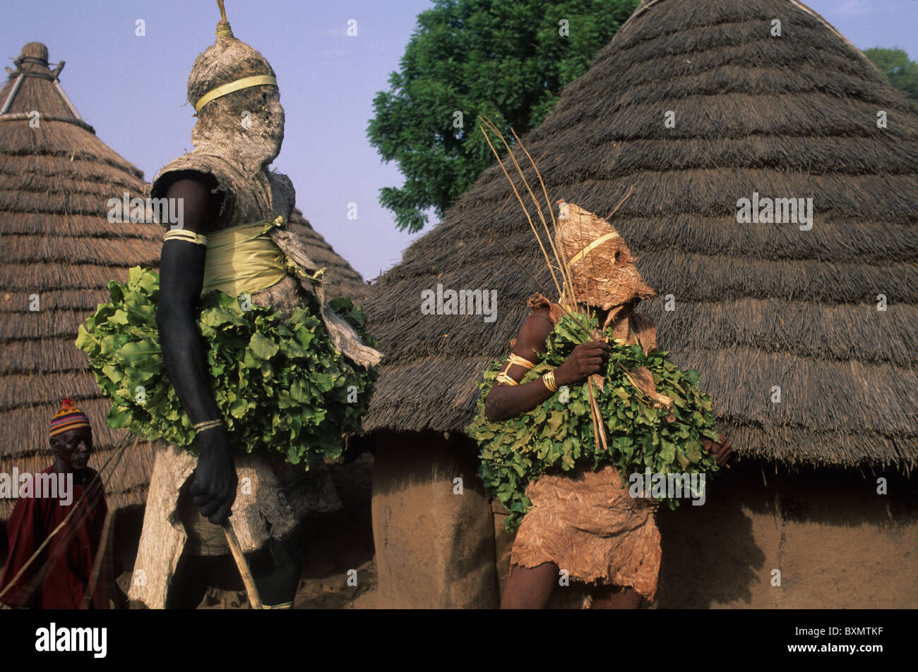 Bedik mask  ' Spirits of Forest '   Initiation Ceremony   ' Village of Iwol  '  Bassari COUNTRY  Tambacounda Region  SENEGAL. Stock Photo