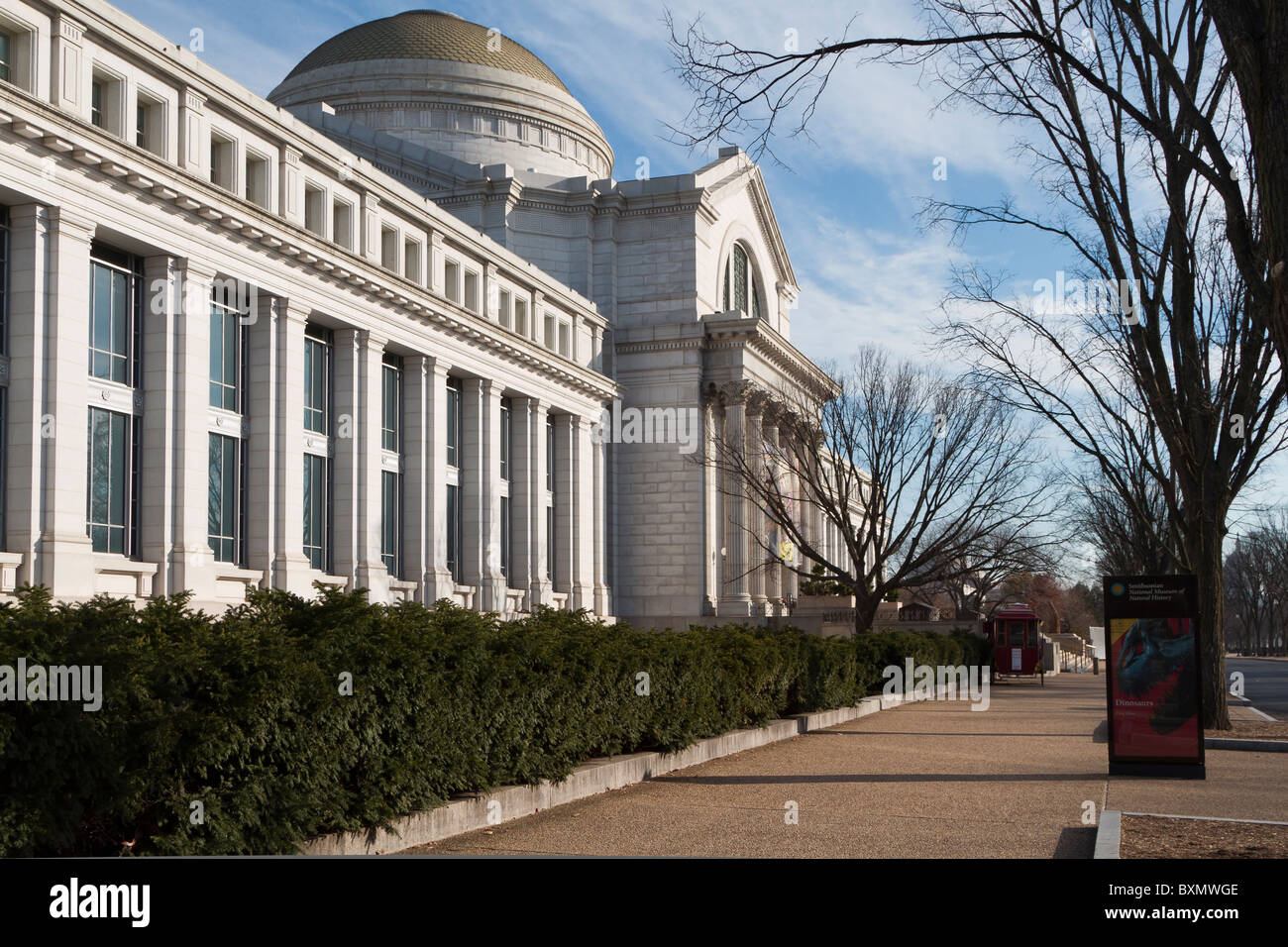 National Museum of Natural History, Smithsonian Institution, on the National Mall, Madison Drive, Washington DC Stock Photo