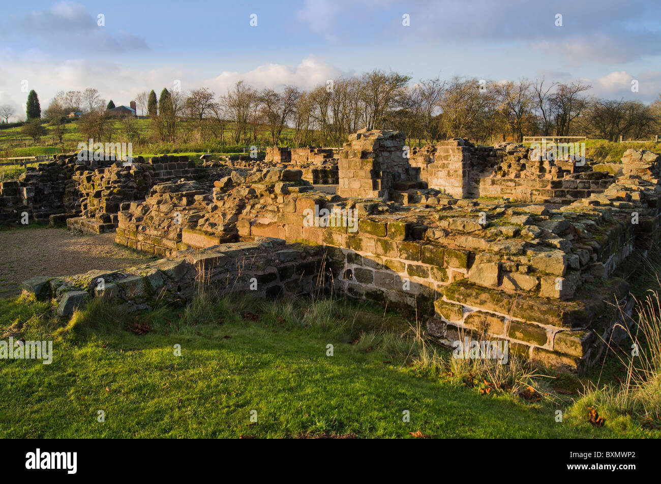 the ruins of bordesley abbey redditch worcestershire midlands uk Stock