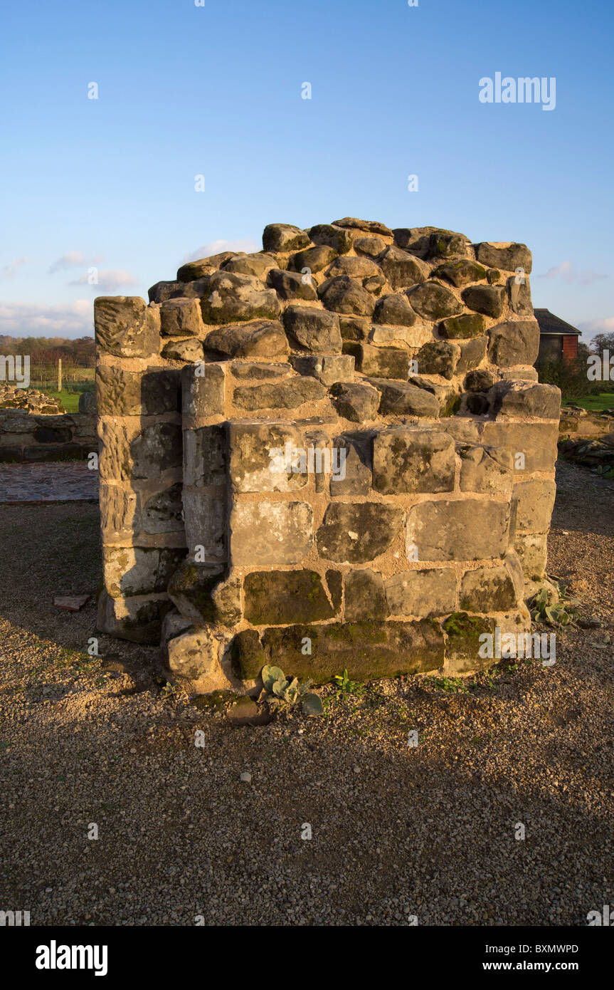 the ruins of bordesley abbey redditch worcestershire midlands uk Stock