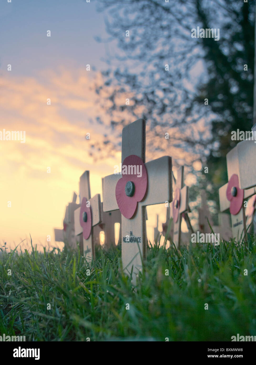 a remembrance sunday memorial Stock Photo Alamy
