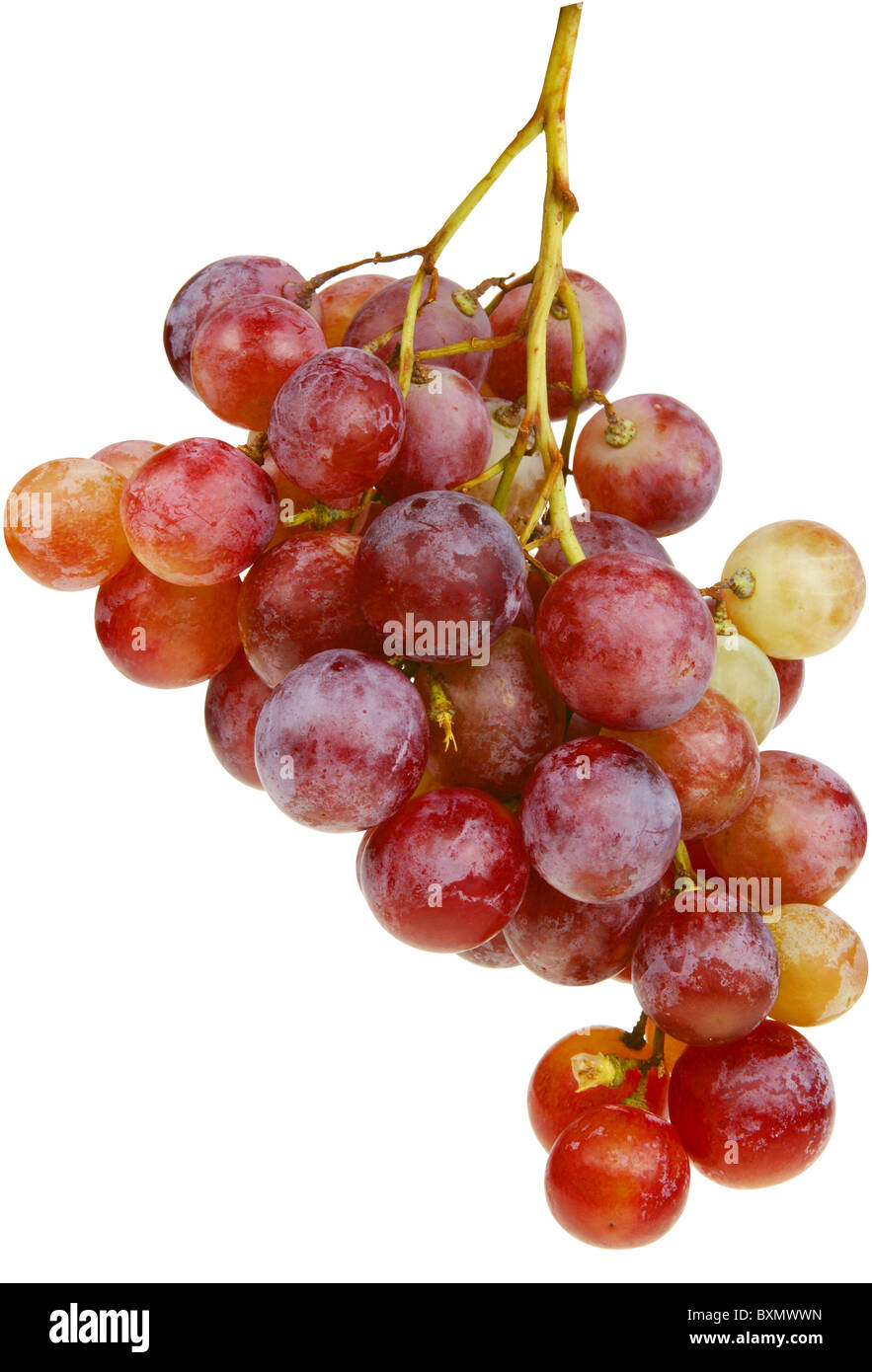 Bunch of red grapes isolated on white with clipping path. Stock Photo