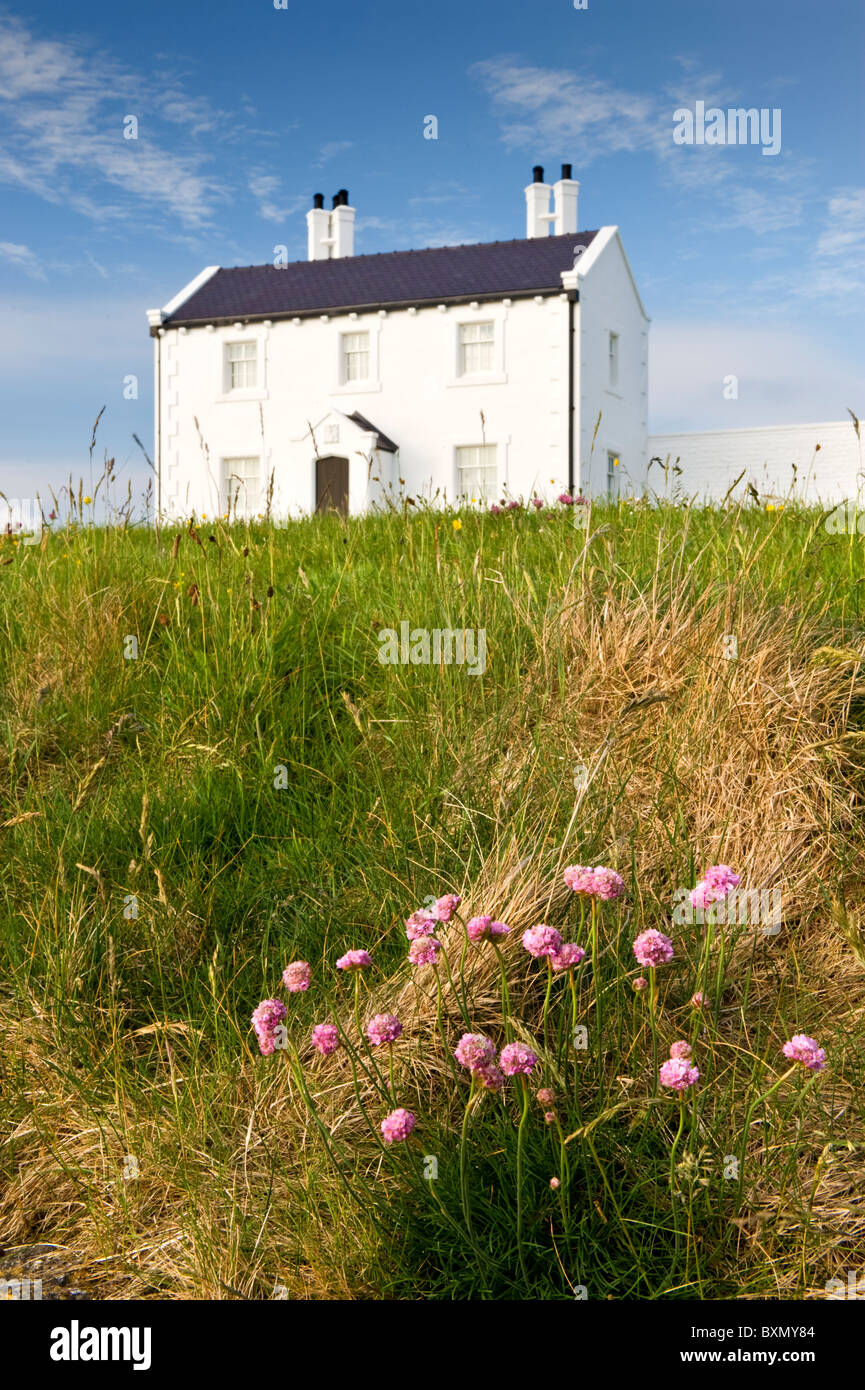Former Coastguard Cottages at Penmon Point, Anglesey, North Wales, UK Stock Photo