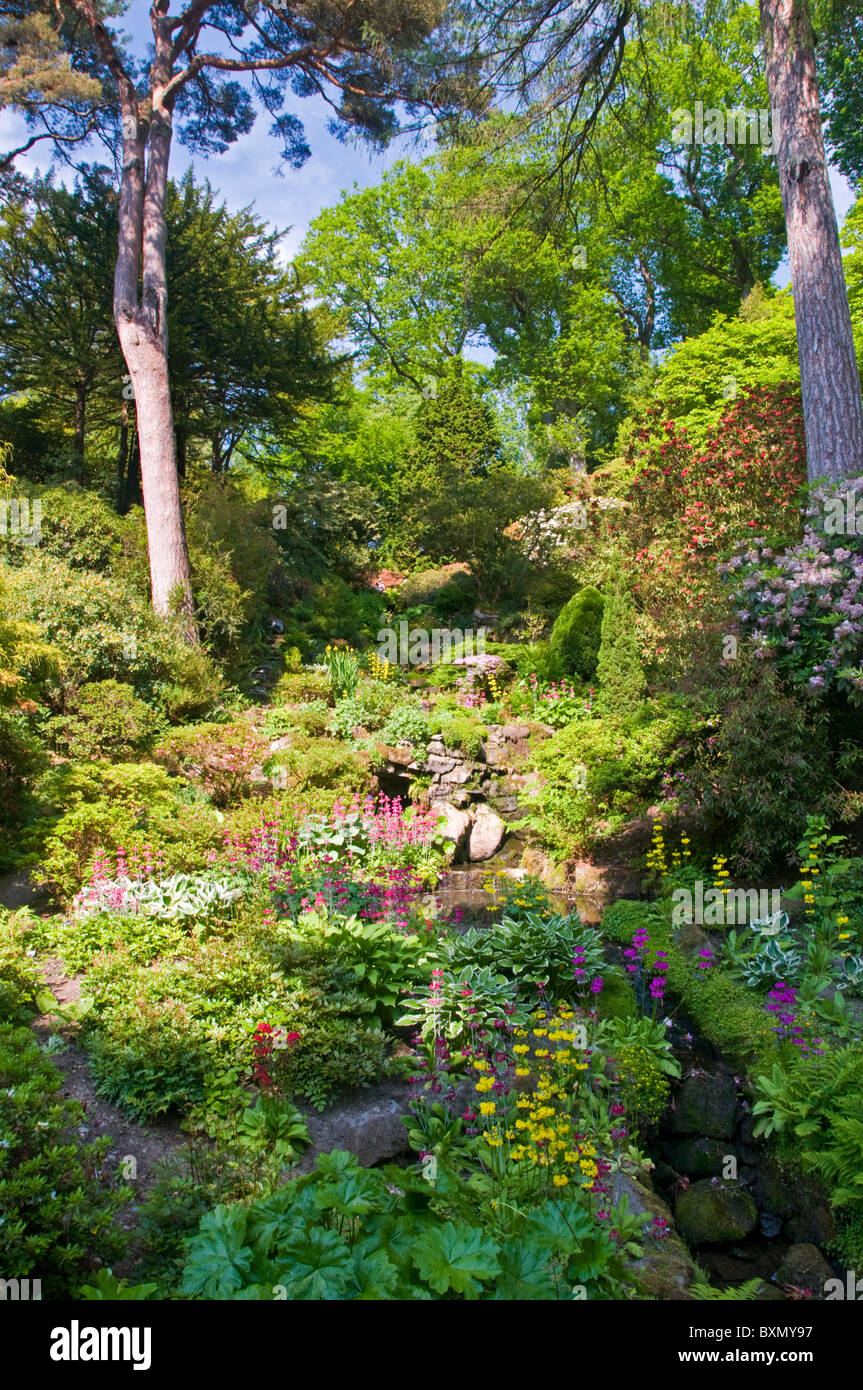 The Rock Garden, Bodnant Gardens, Near Colwyn Bay, Clwyd, North Wales, UK Stock Photo