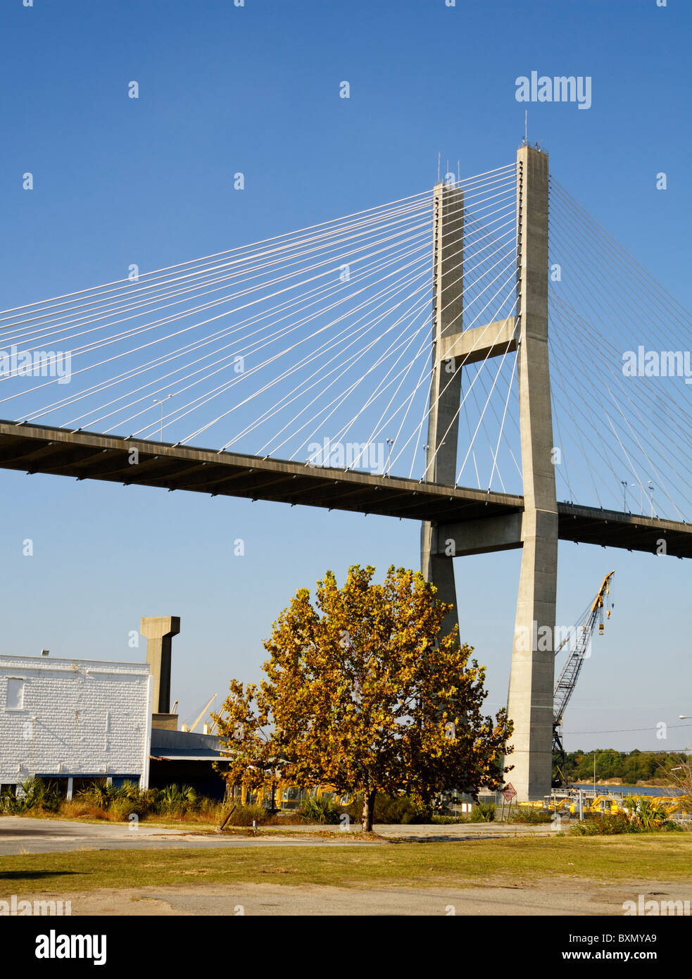 Eugene Talmadge Memorial cablestayed bridge south side main pier in Savannah, GA, USA. Finished