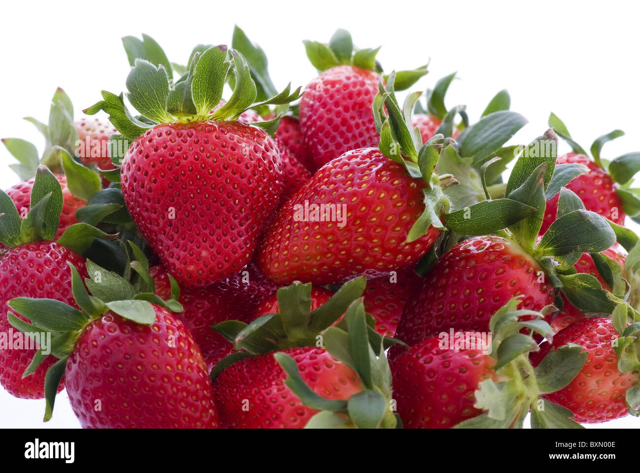 Makro nature Cut Out Stock Images & Pictures - Alamy