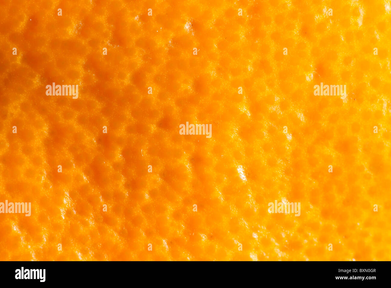 Orange peel skin hires stock photography and images Alamy