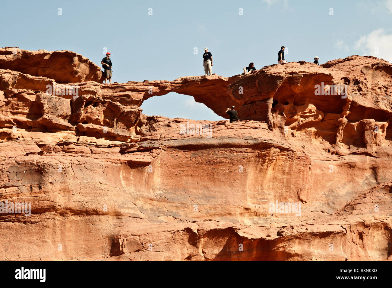 Scampering hires stock photography and images Alamy