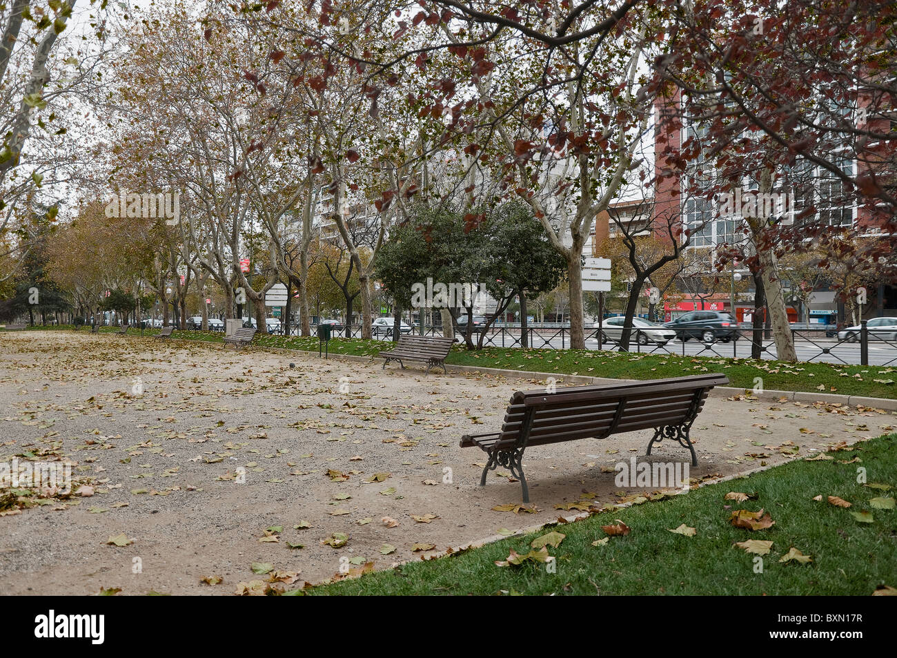 Park benches and trees bearing a large shadow on the Paseo de la Castellana, Madrid, Spain Stock Photo