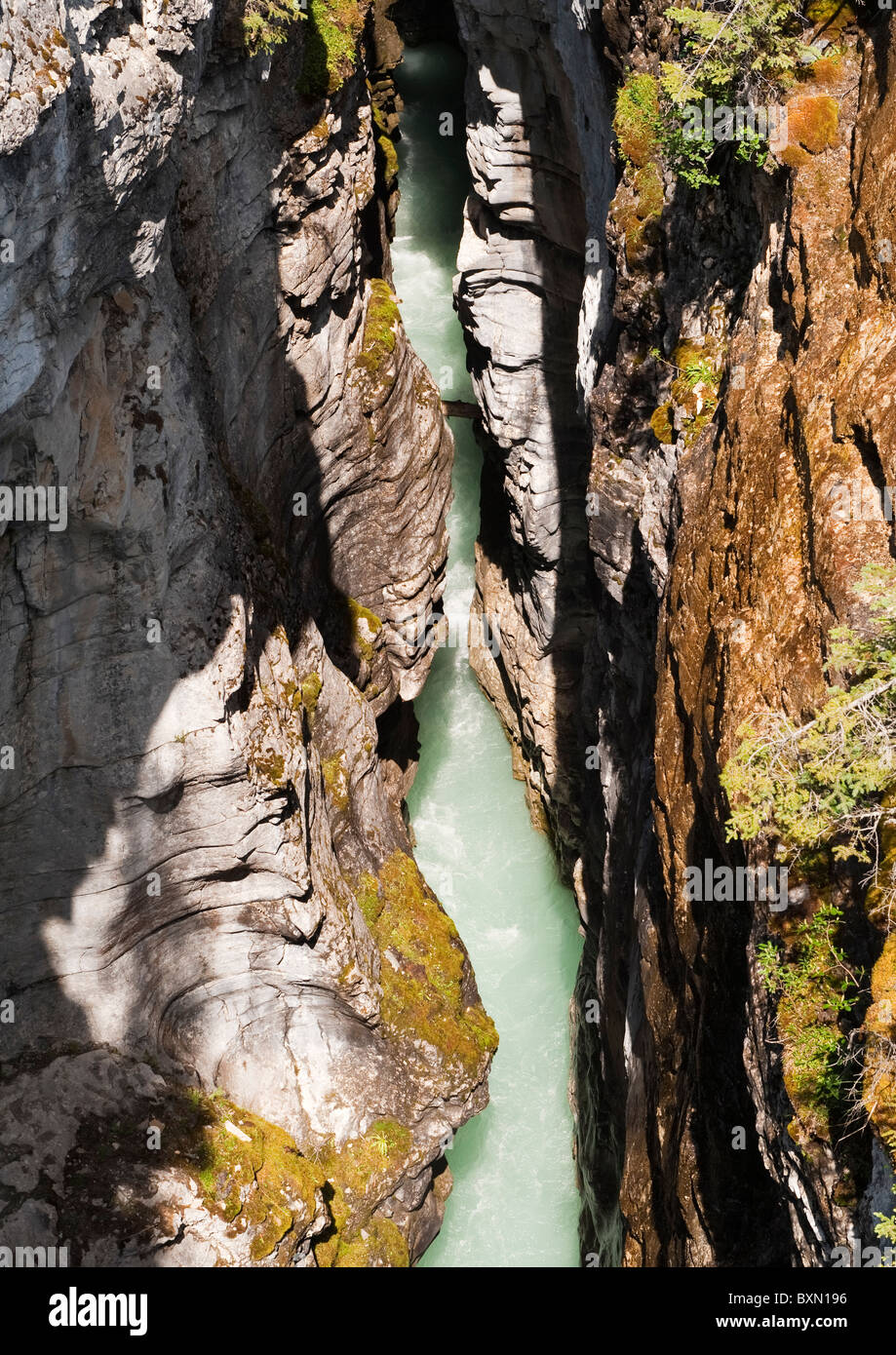marble-canyon-kootenay-national-park-rocky-mountains-british-columbia-BXN196.jpg