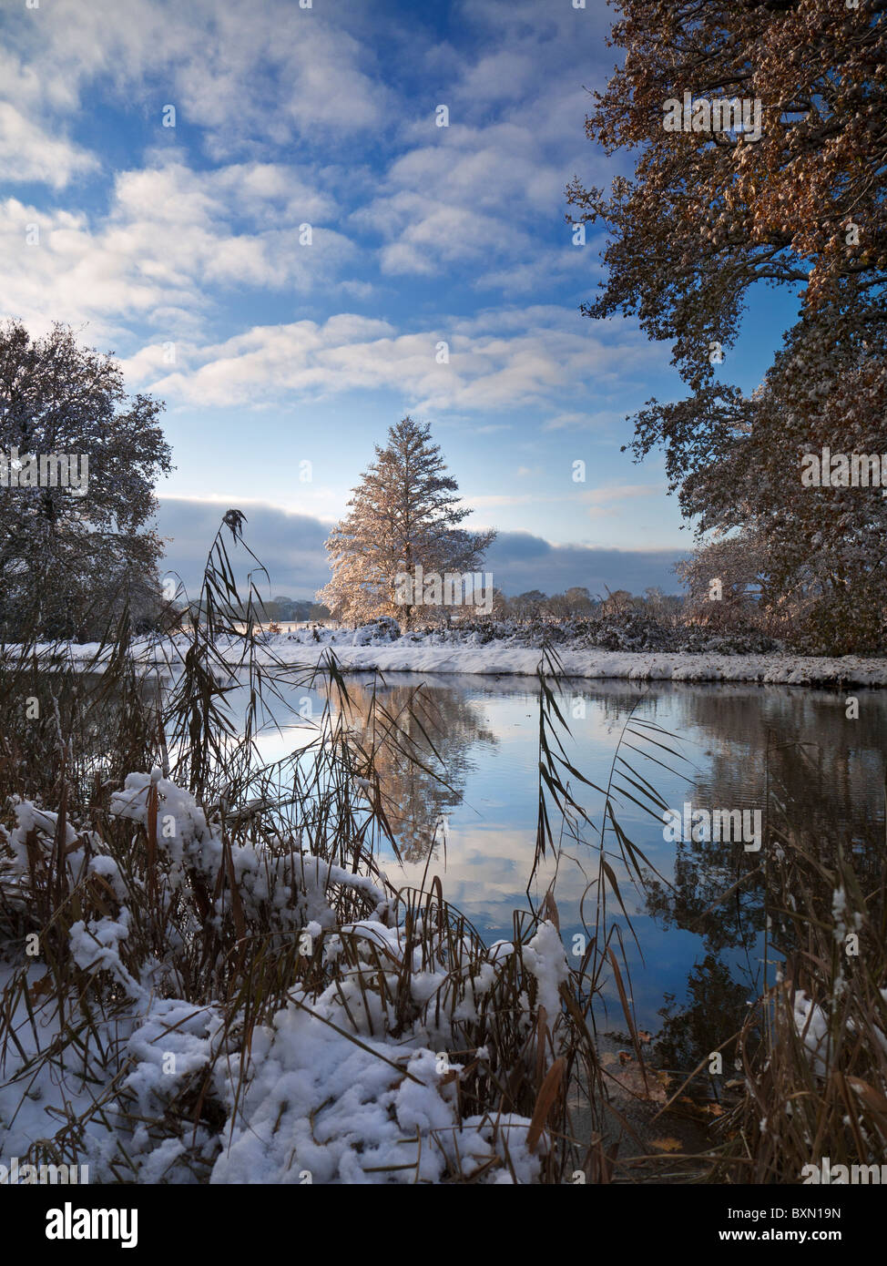 River Wey snow winter frost Surrey with fresh winter snowfall Surrey  England UK Stock Photo