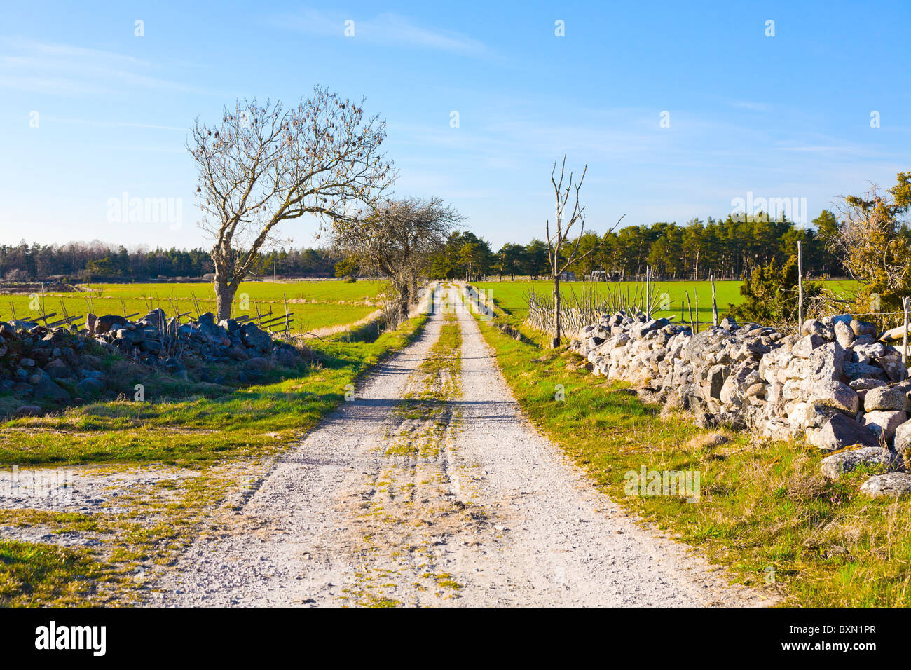 Small country lane on Gotland, Sweden. Stock Photo