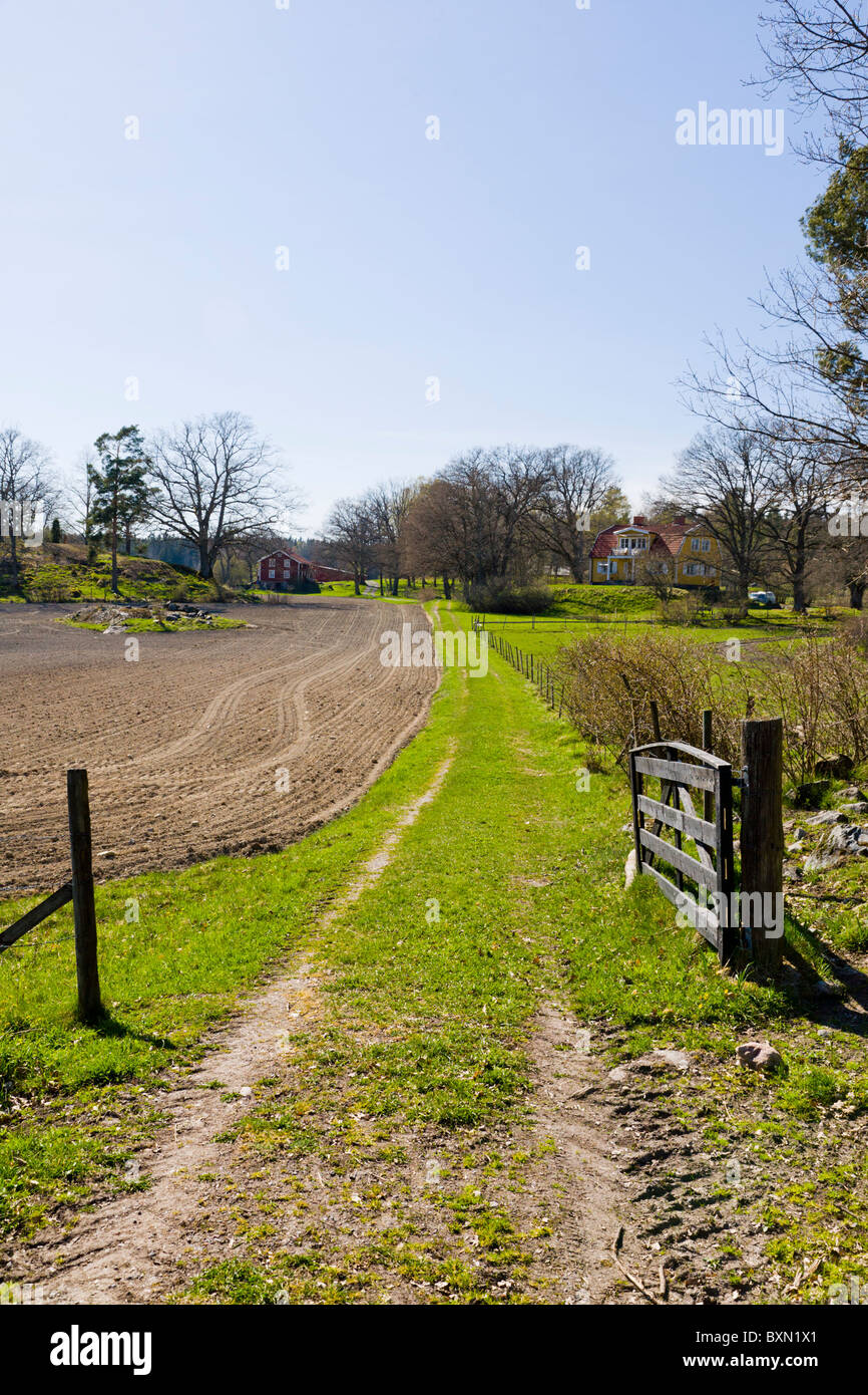 Rural spring landscape. Stock Photo