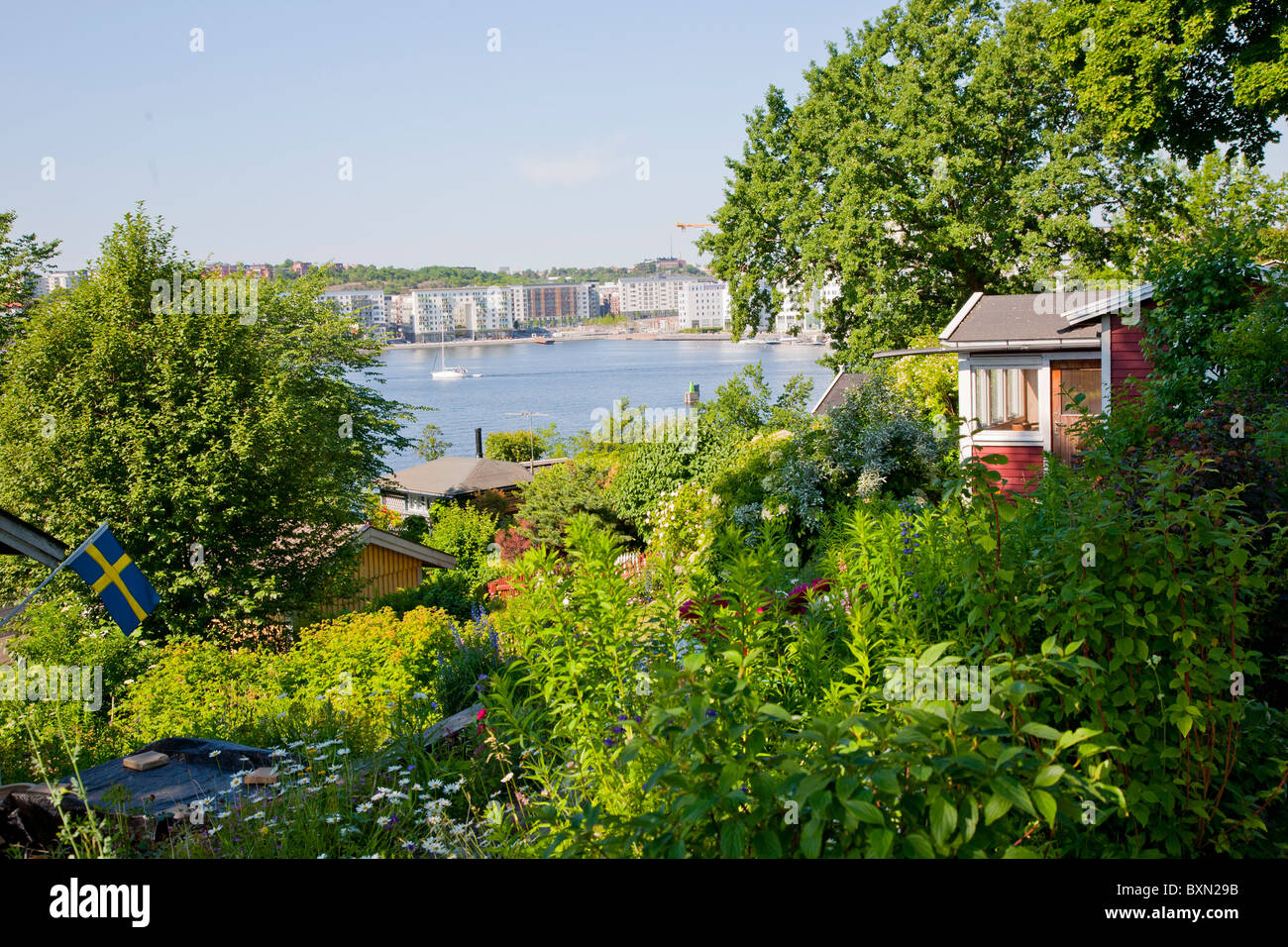 Allotment gardens on Sodermalm, the south side of Stockholm, Sweden