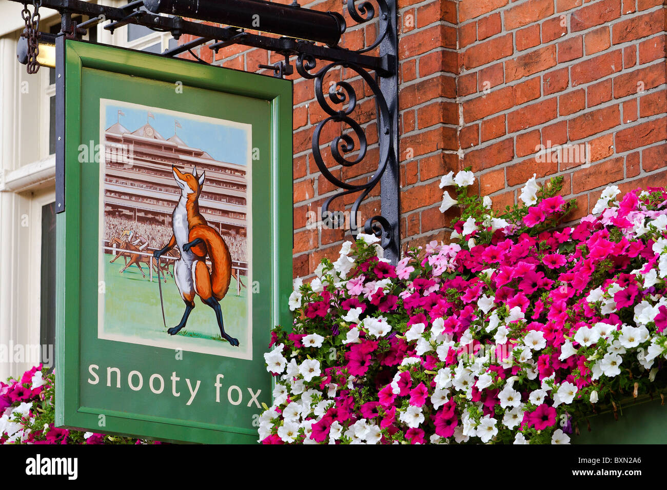 UK Newbury Snooty Fox Pub Sign Stock Photo - Alamy