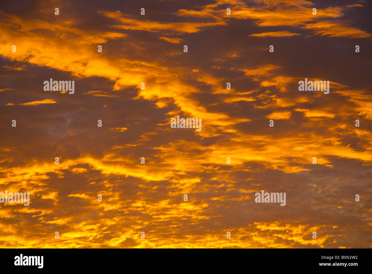 Clouds on sunset Stock Photo - Alamy