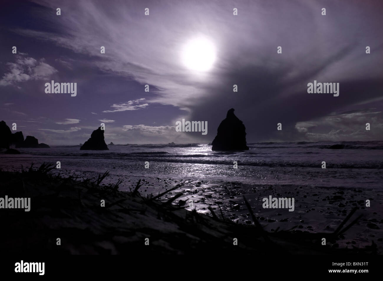 Ruby Beach Stock Photo