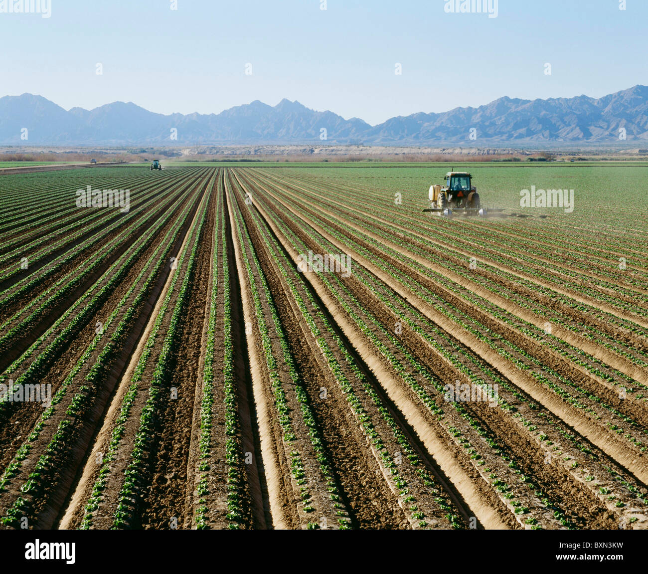 Applying pesticides hires stock photography and images Alamy