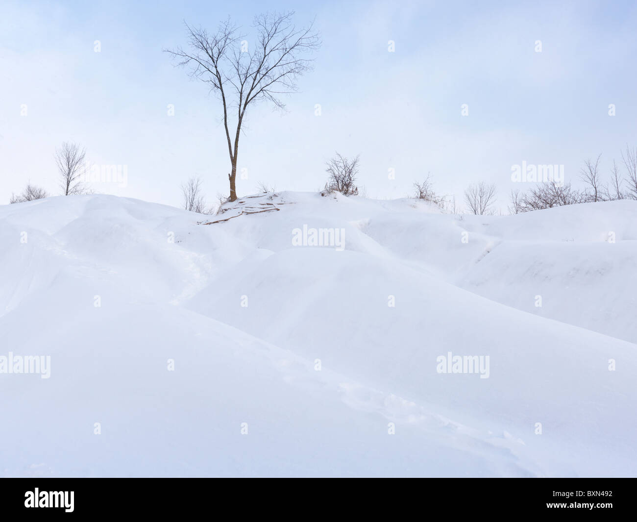 Snow dunes under blue sky. Wintertime scenic. Ontario, Canada. Stock Photo