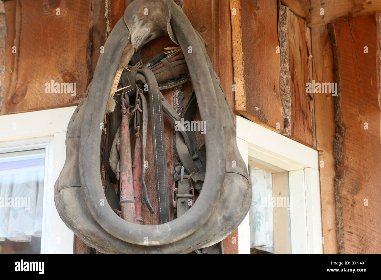 Harness part for a draft horse Stock Photo