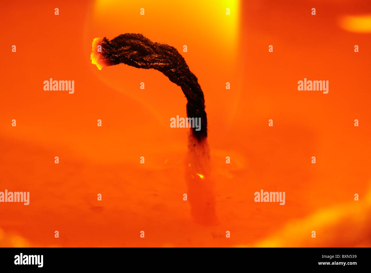 Why Does My Candle Wick Burn Out at Robert Lenz blog