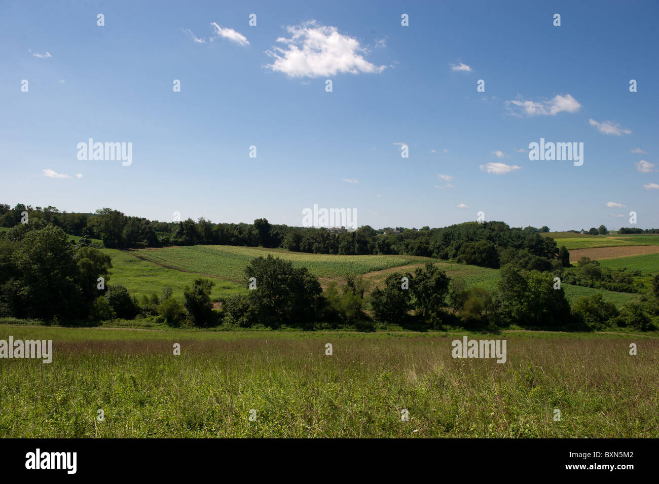 Maryland landscape hi-res stock photography and images - Alamy