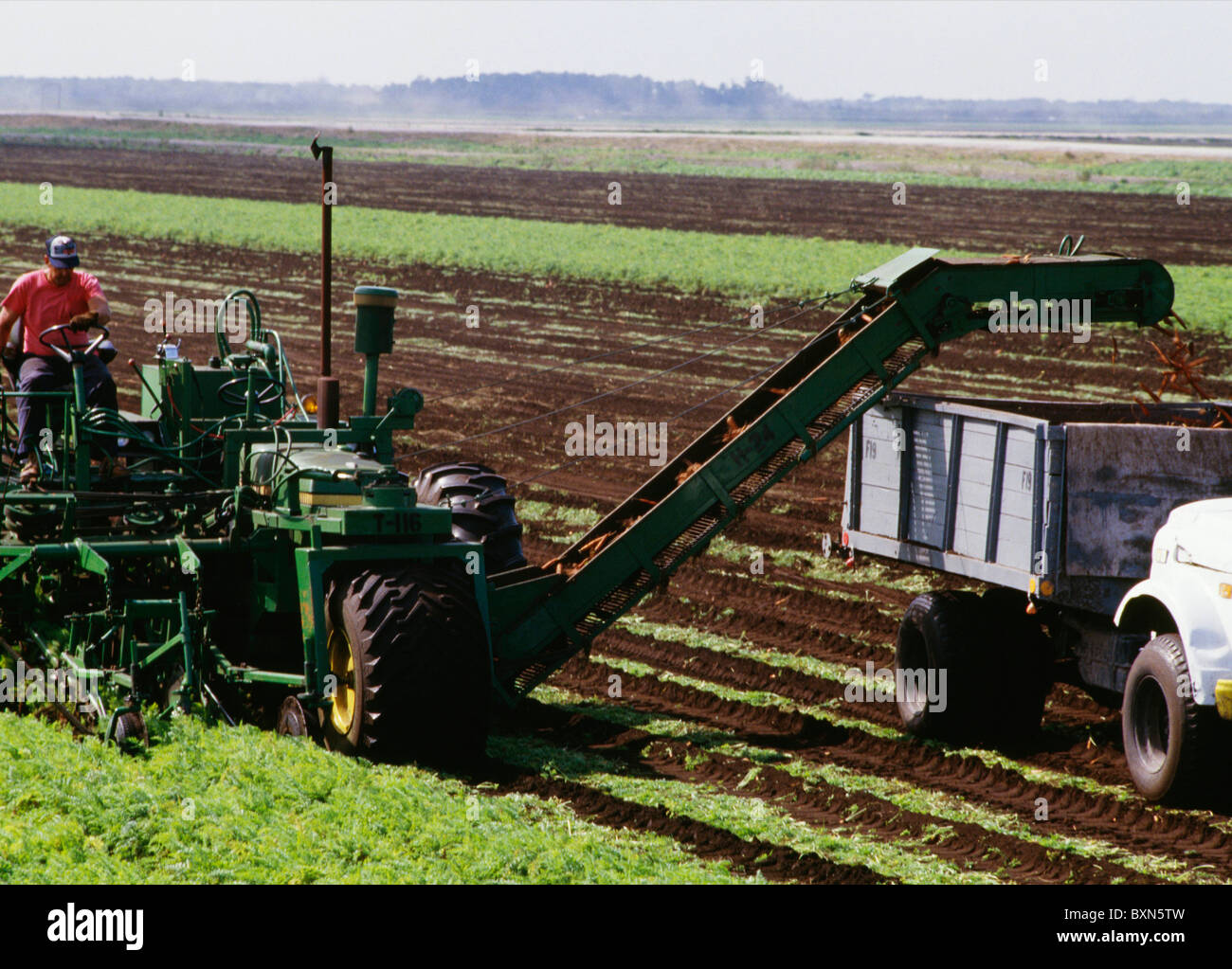 Carrots harvest field tractor hires stock photography and images Alamy