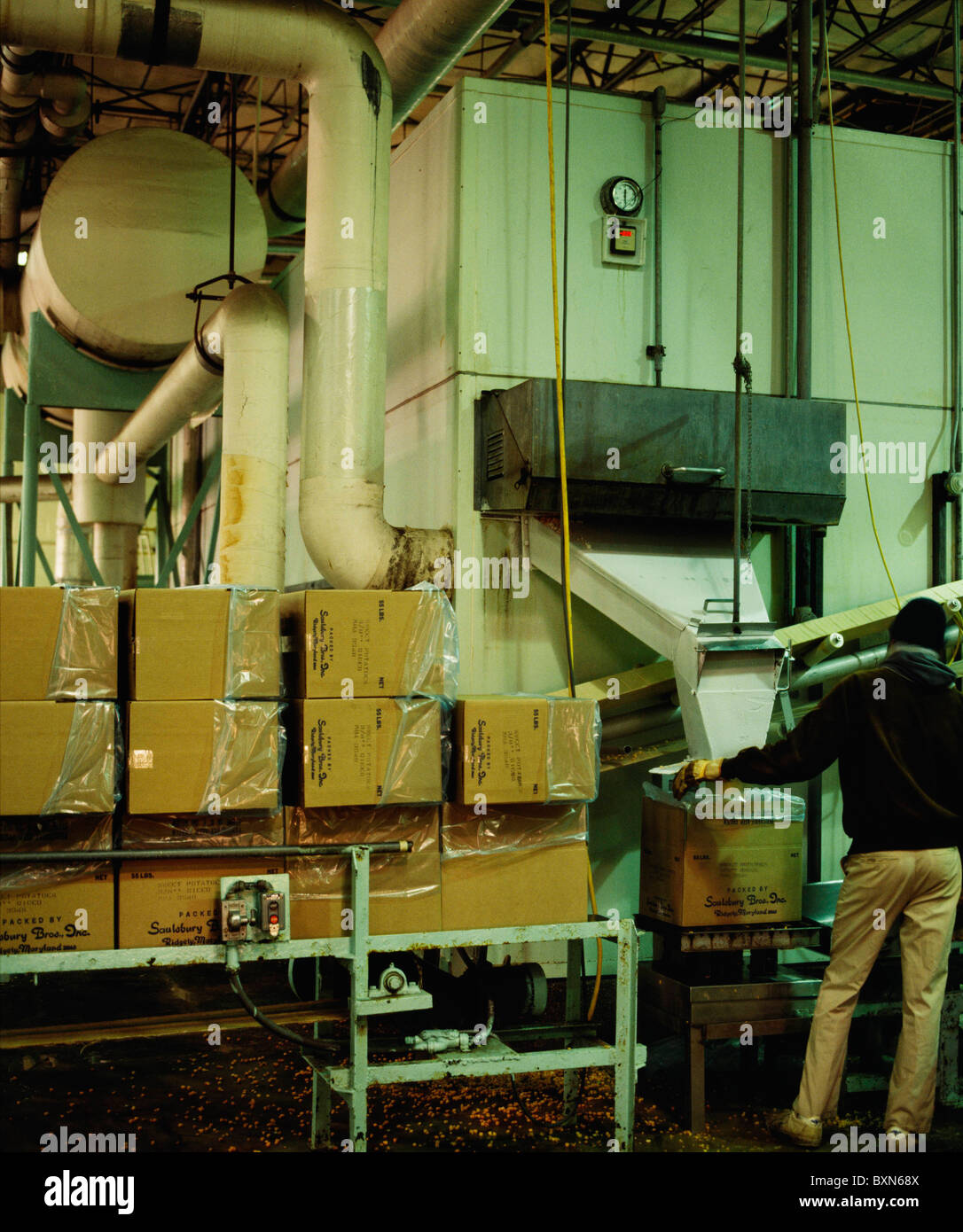 QUICK FREEZE UNIT AT VEGETABLE PROCESSING PLANT. OPERATES AT 40