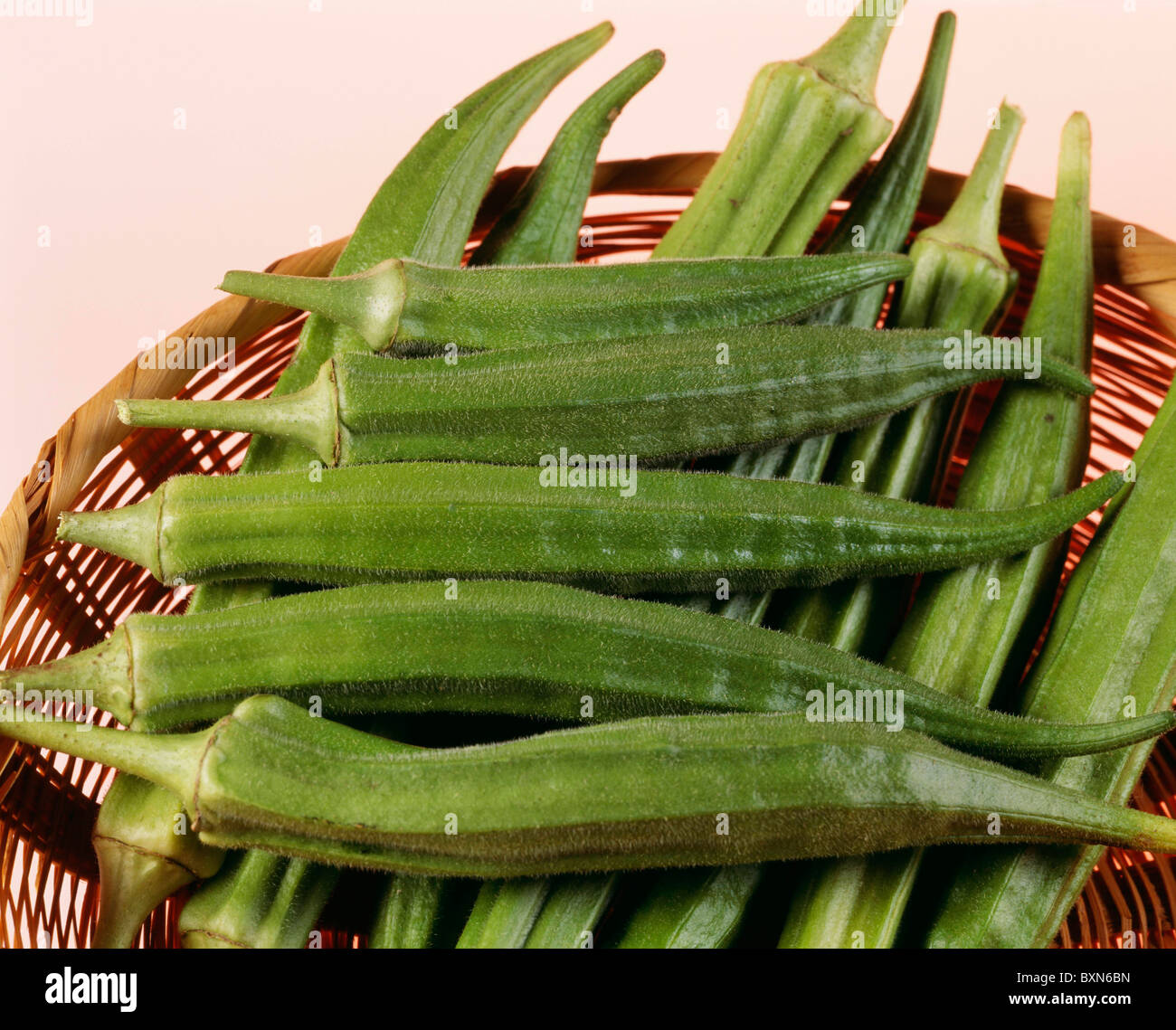 OKRA (ABELMOSCHUS ESULENTUS) 'CLEMSON SPINELESS 80' STUDIO GARDEN Stock