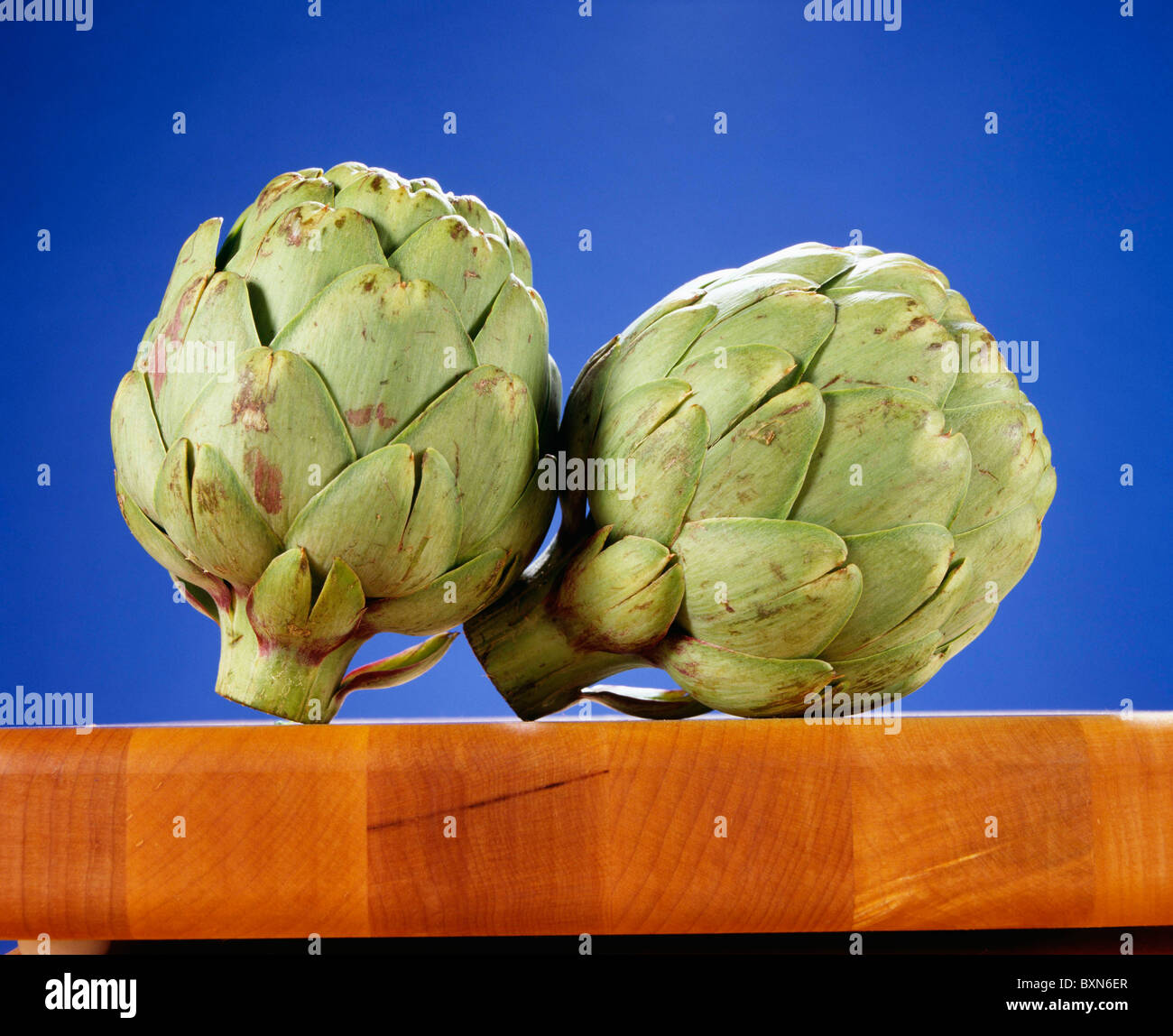 GLOBE ARTICHOKE / STUDIO Stock Photo - Alamy