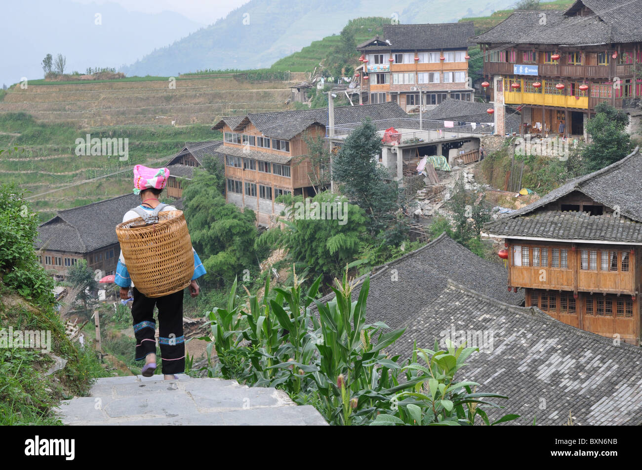 Chinese person on the way to work on the Longji rice terraces, Southern ...