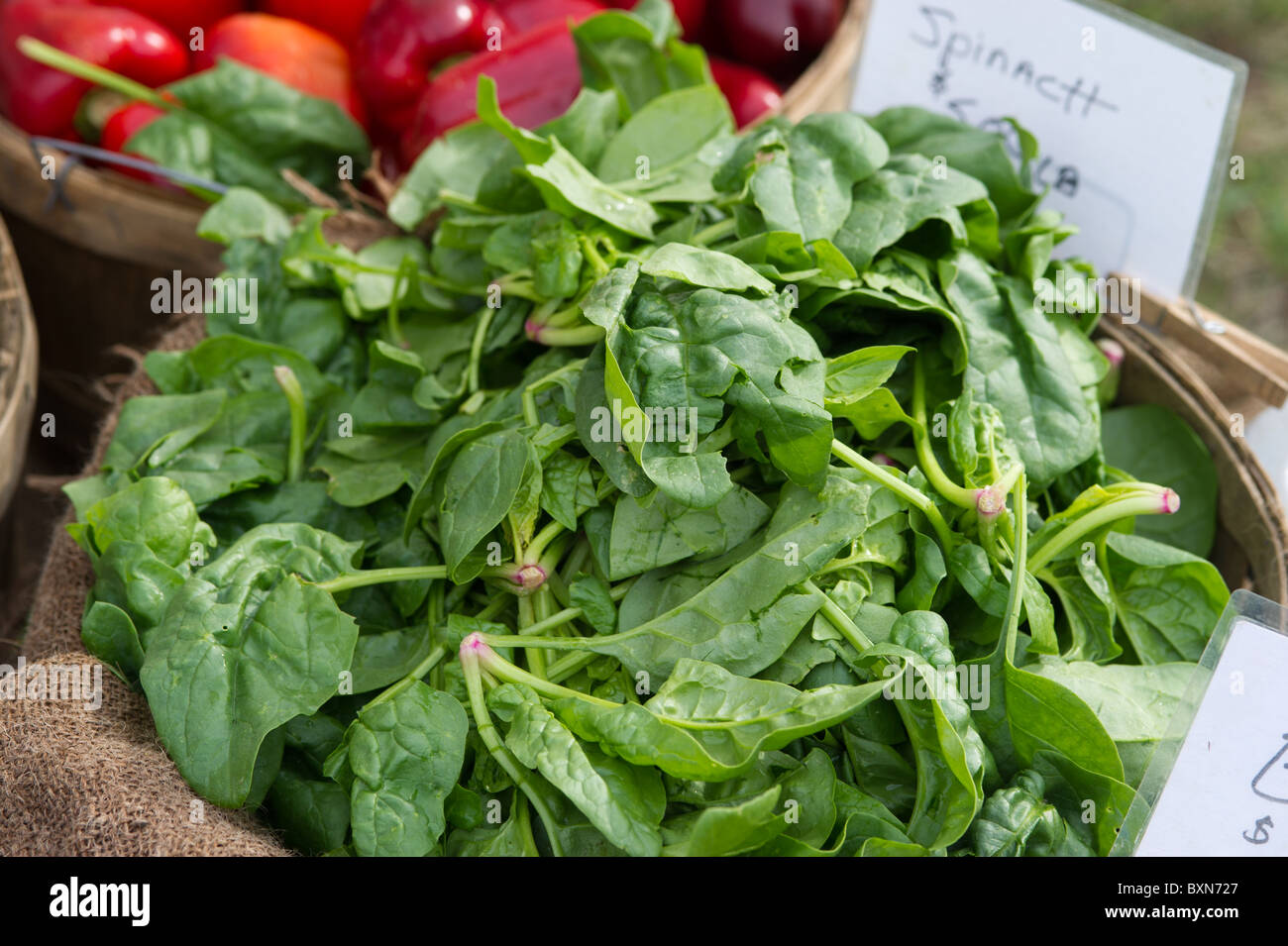 Spinach for sale at a farmers market Stock Photo