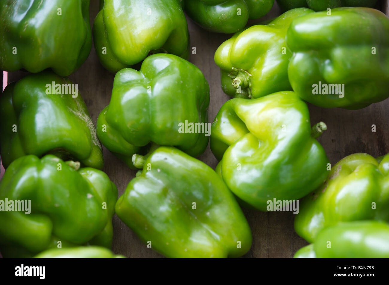 Green peppers Stock Photo
