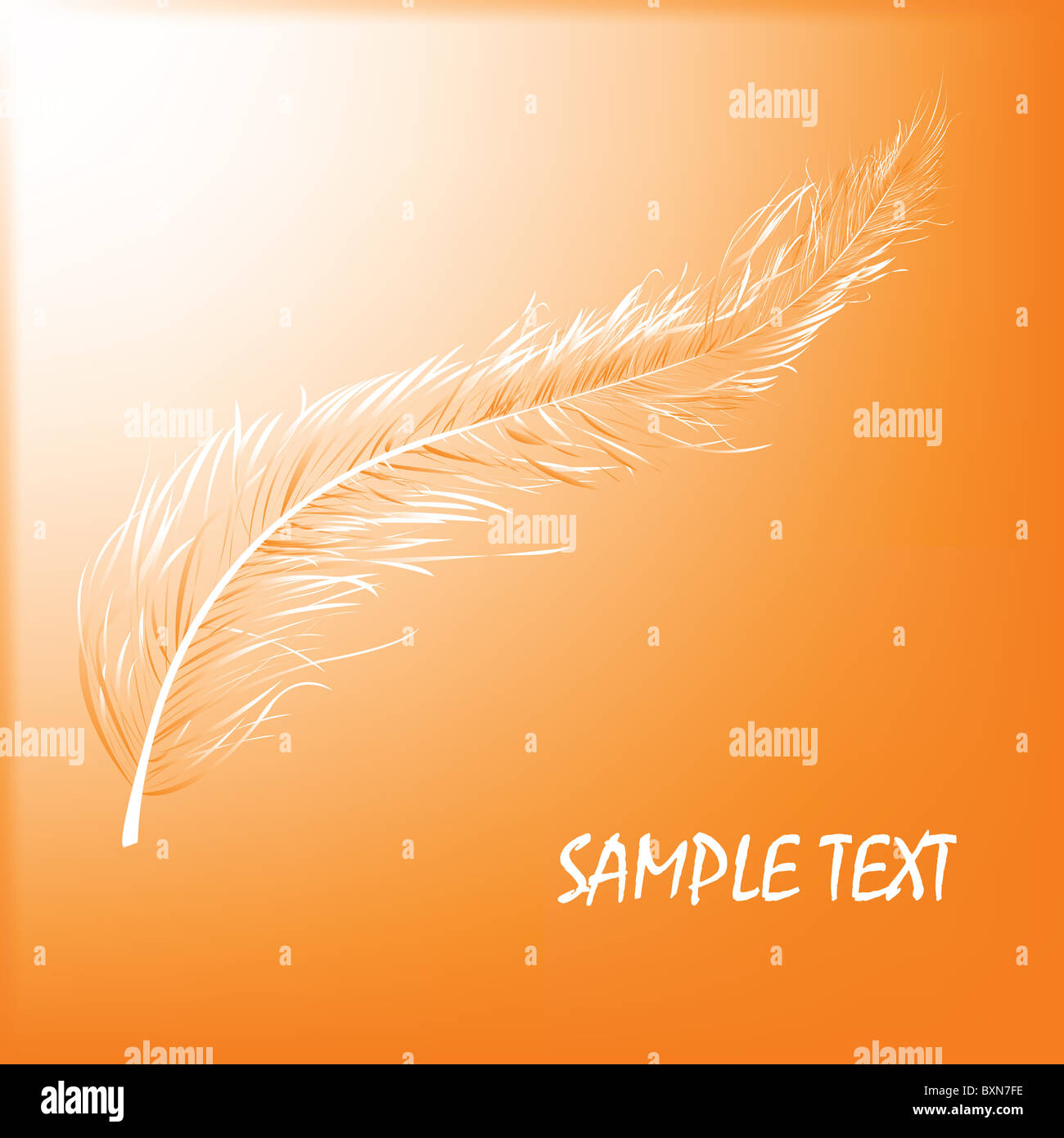 Detailed feather drawing vector hi-res stock photography and images - Alamy