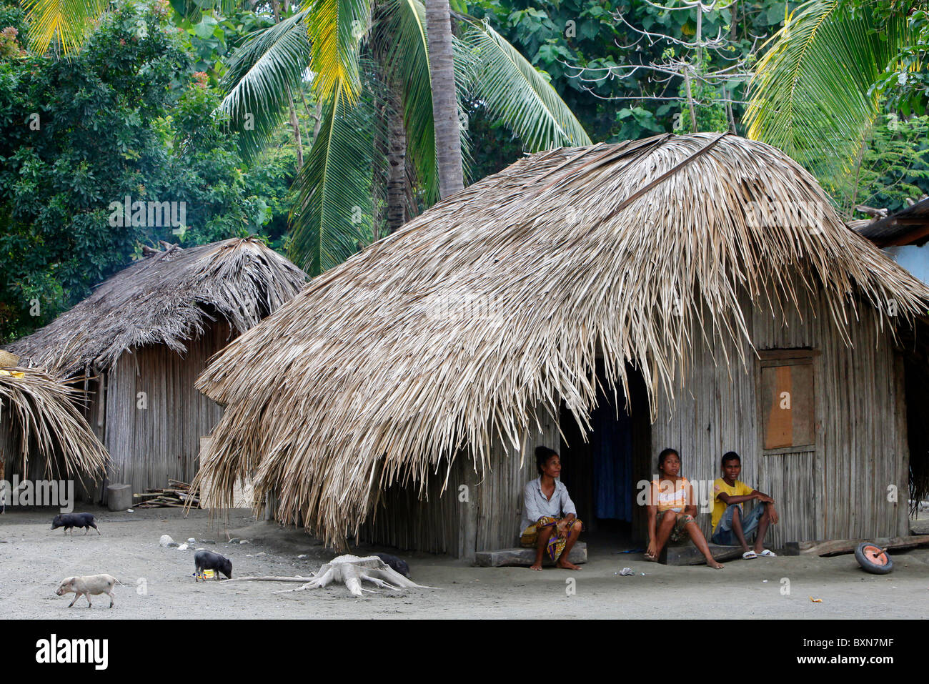 Thatched roof huts in a village in Timor Leste (East Timor) Stock Photo