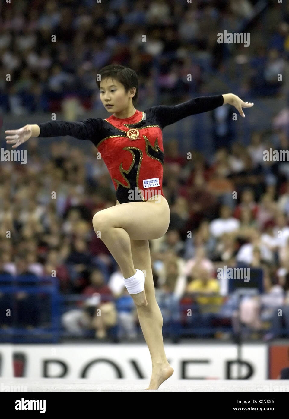 World Cup Gymnastics Birmingham England 2004 Photos by Alan Edwards