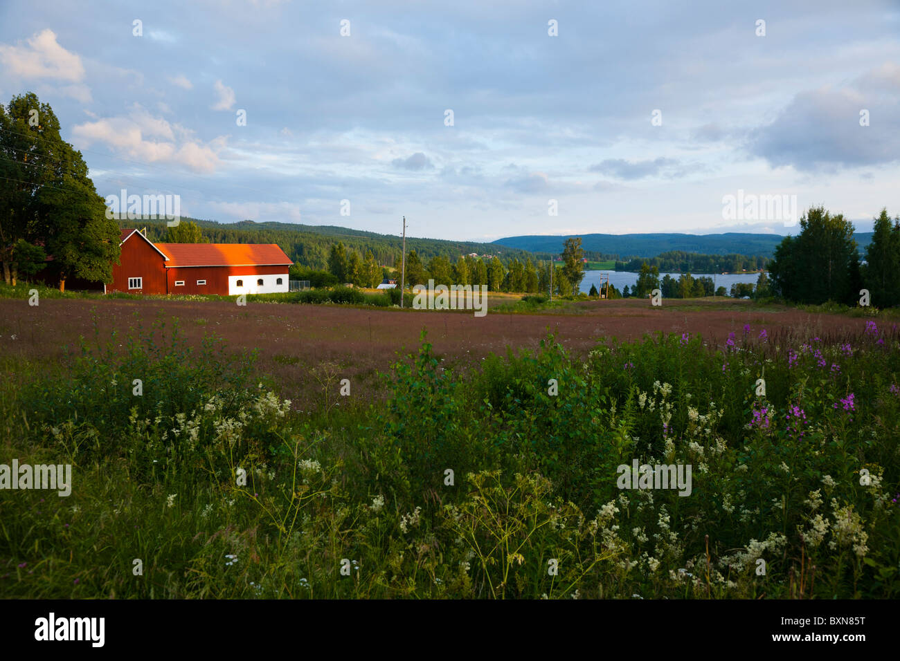 Varmland, Sweden Stock Photo Alamy