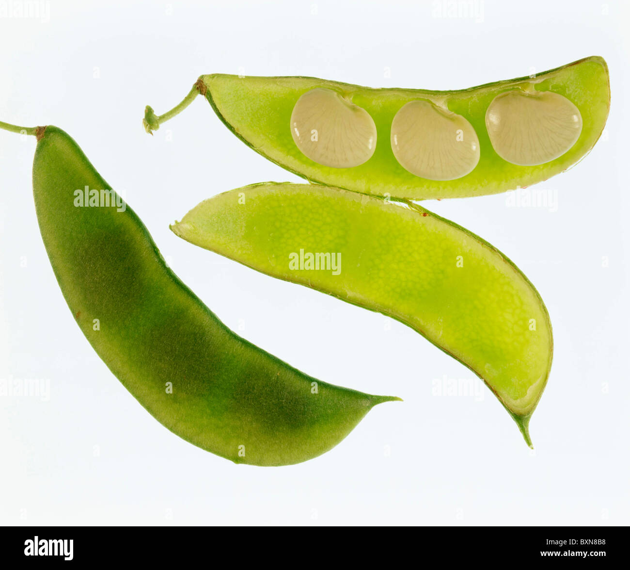 Baby lima butter beans hendersons hires stock photography and images
