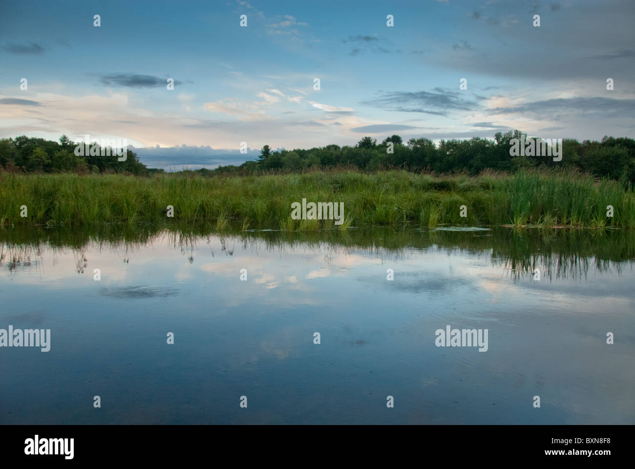 Stillwater River, Orono Stock Photo Alamy