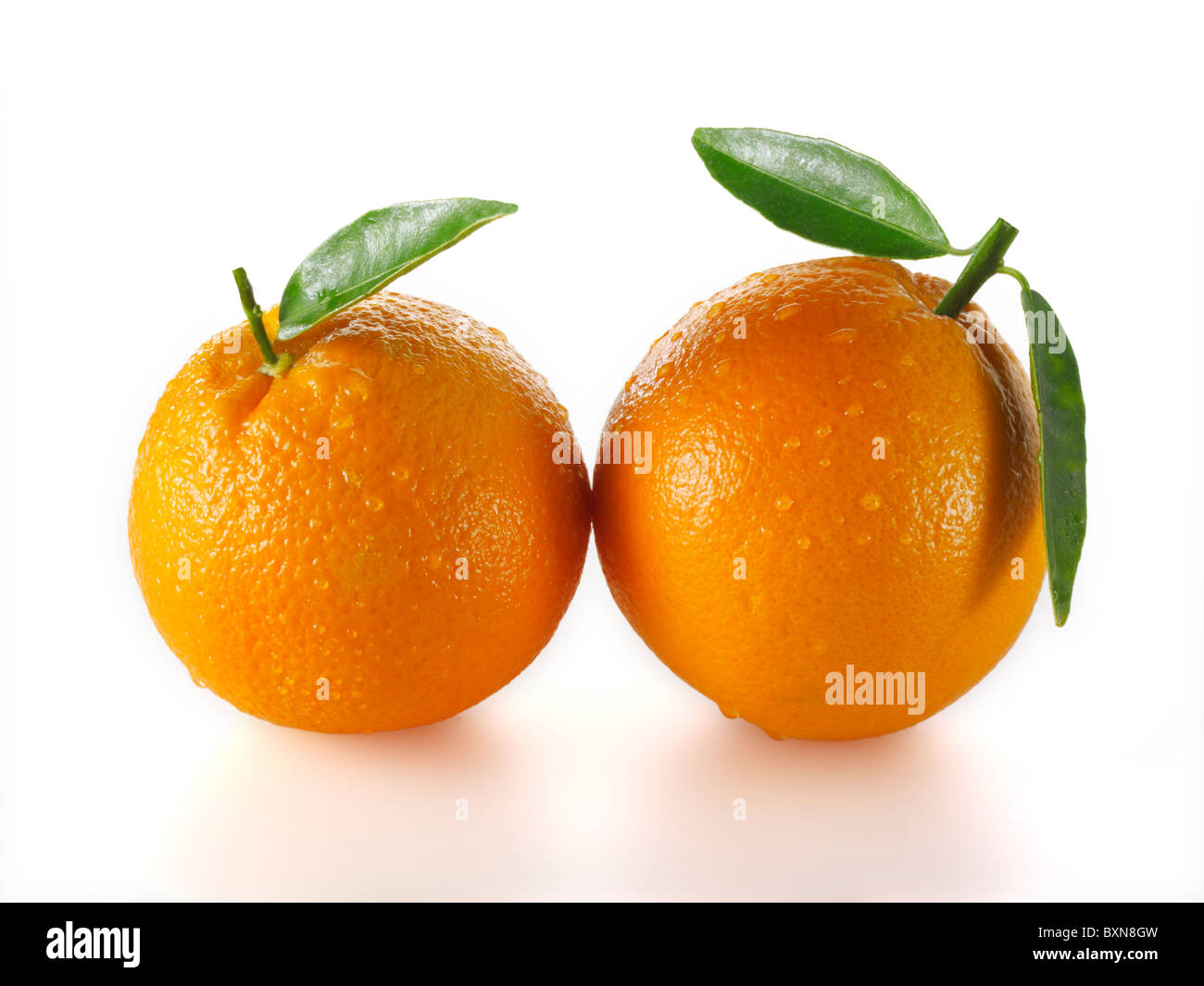 Whole fresh oranges  Stock Photo